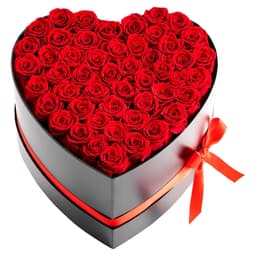 image-VEVOR Forever Flowers, 50 Preserved Roses in a Heart Shape Box, Eternal Flowers Immortal Bouquet Birthday Present for Delivery Prime Women Her Wife Mothers, Anniversary, Valentine's Day,Christmas, Red