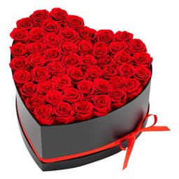 image-VEVOR Forever Flowers, 50 Preserved Roses in a Heart Shape Box, Eternal Flowers Immortal Bouquet Birthday Present for Delivery Prime Women Her Wife Mothers, Anniversary, Valentine's Day,Christmas, Red