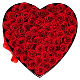 image-VEVOR Forever Flowers, 50 Preserved Roses in a Heart Shape Box, Eternal Flowers Immortal Bouquet Birthday Present for Delivery Prime Women Her Wife Mothers, Anniversary, Valentine's Day,Christmas, Red