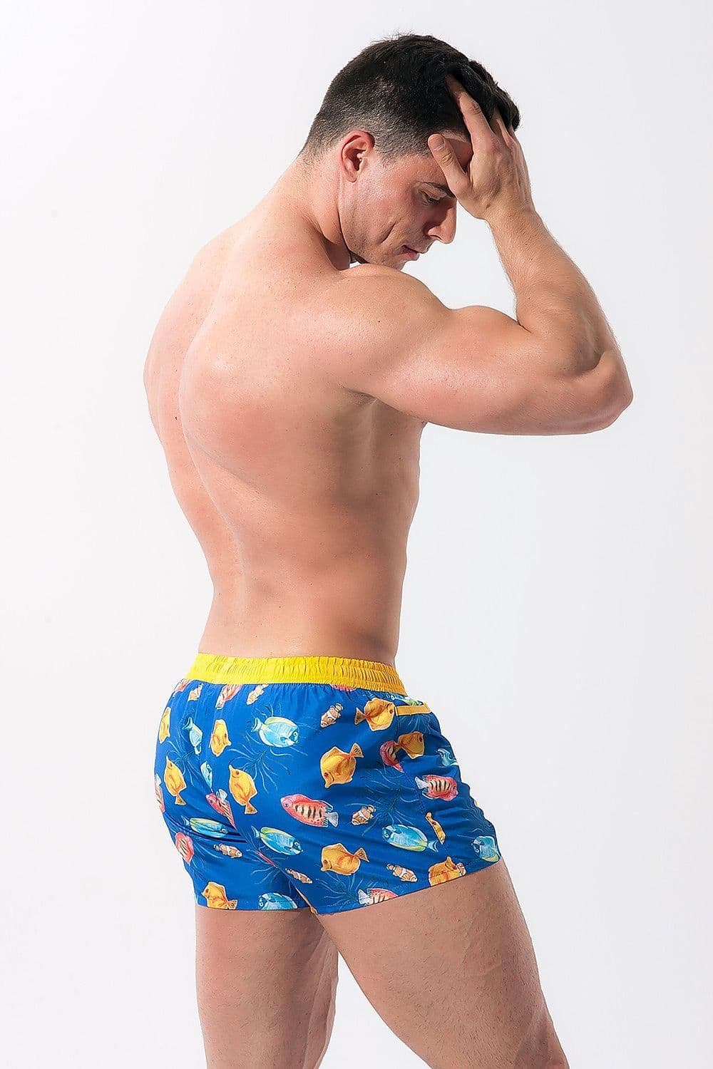 image-Swimming trunks Alpha Male