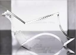 image-17 transparent beard styling combs, beard rulers, beard styling tools, beard styling combs