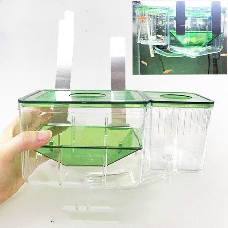 image-Hatching box guppy sick fish isolation box fighting fish