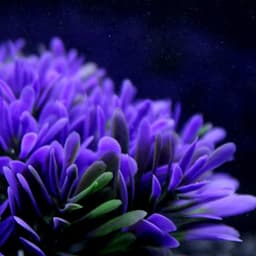 image-Fish tank landscaping aquarium accessories