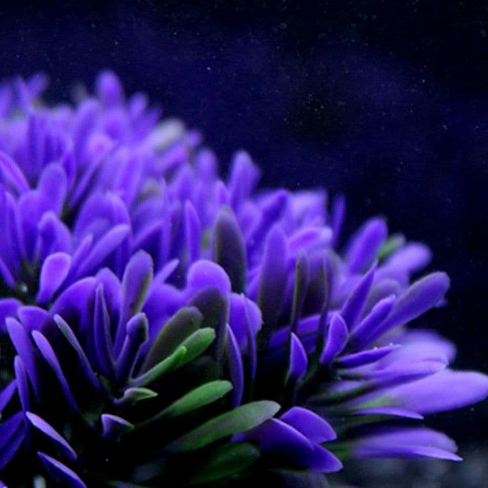 image-Fish tank landscaping aquarium accessories