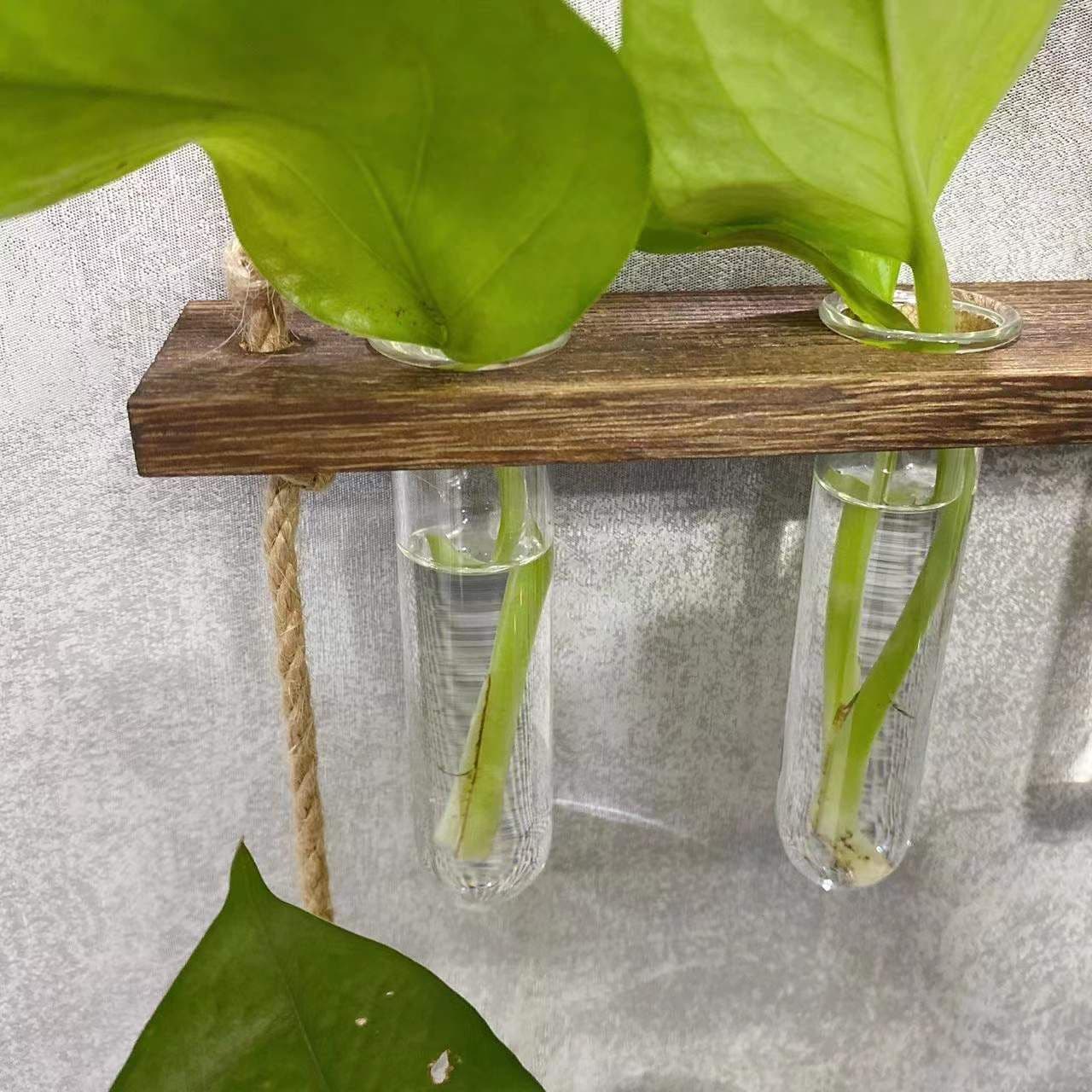 image-Creative Hydroponics Wall Hanging Vase Vase Test Tube Vase
