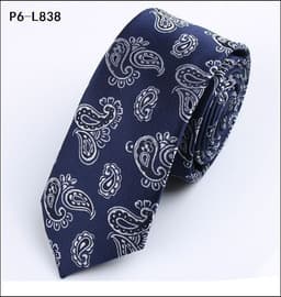 image-Korean Style Men's Tie Business Stylish Spot Goods Tie Cashew Flower Tie