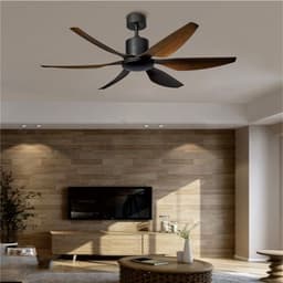 image-Large Size DC Variable Frequency Ceiling Fan Lamp