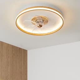 image-Ceiling Mounted Fan Pendant Lamp In Bedroom