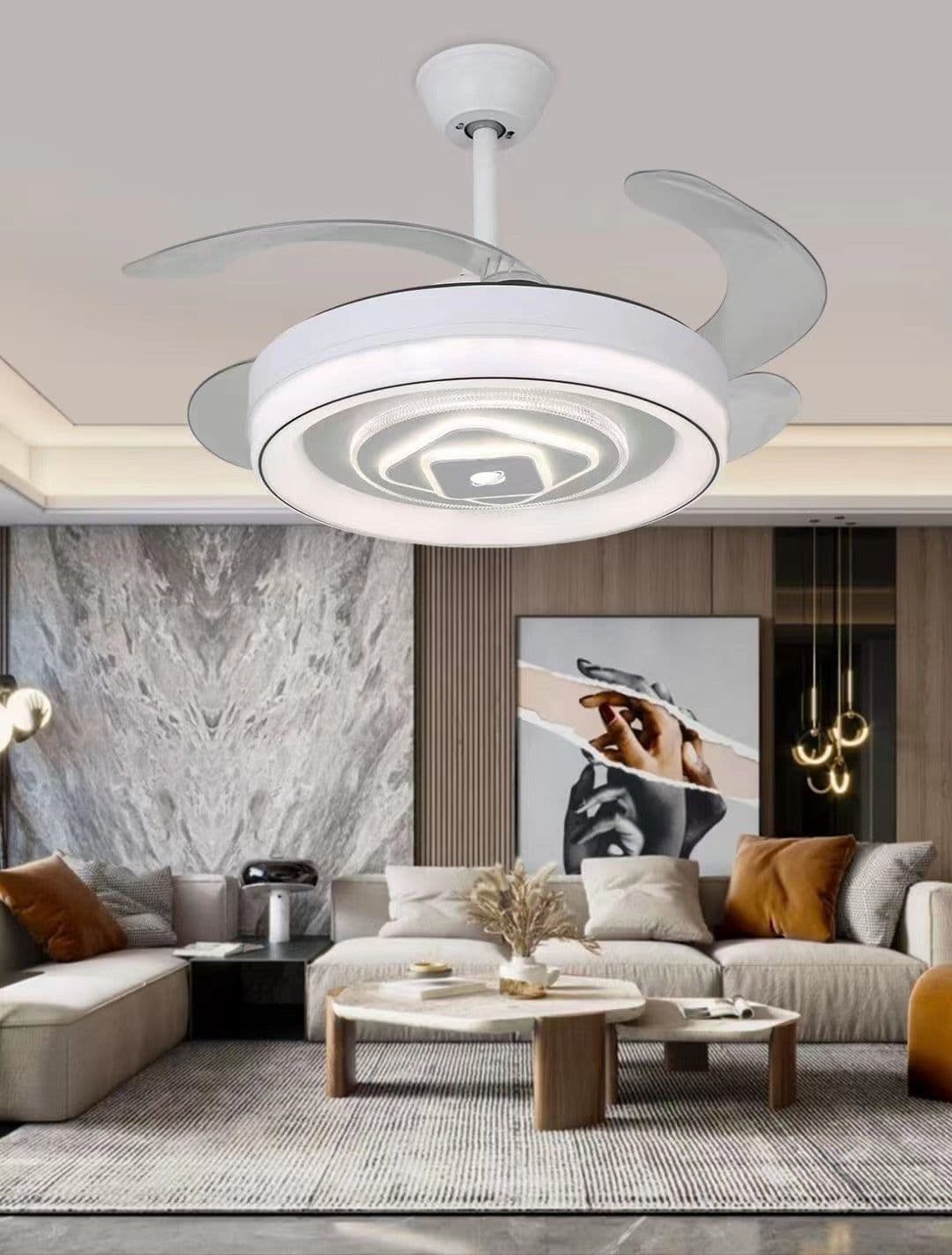 image-Nordic Ceiling Simple Household Invisible Fan Light