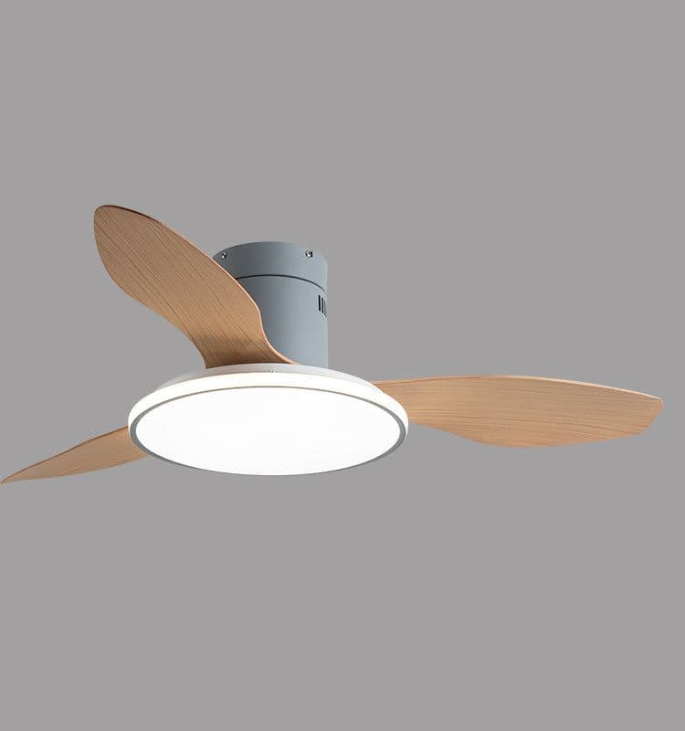 image-Living Room Ceiling Fan Chandelier