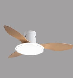 image-Living Room Ceiling Fan Chandelier