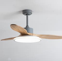 image-Living Room Ceiling Fan Chandelier