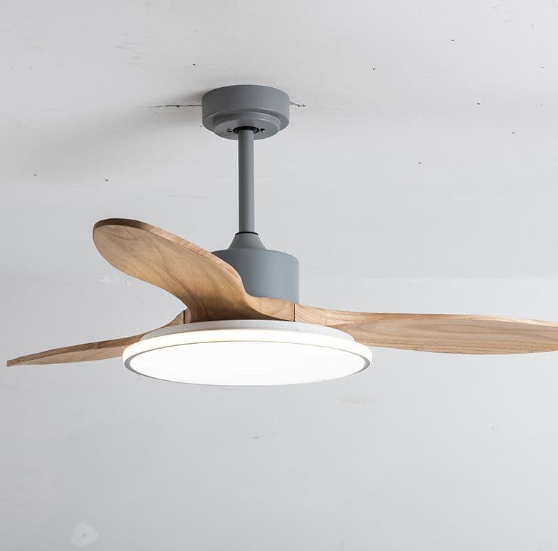 image-Living Room Ceiling Fan Chandelier