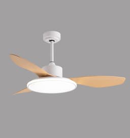 image-Living Room Ceiling Fan Chandelier