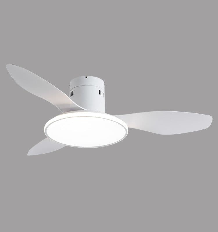 image-Living Room Ceiling Fan Chandelier