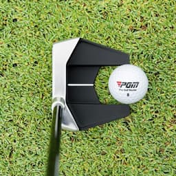 image-Golf Club Standing Putter Low Center Of Gravity Stable Professional Single Golf Cross-border Hot Selling
