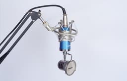 image-Direct manufacturers condenser mic Anne condenser