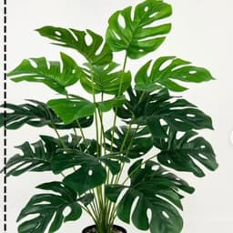 image-Simulation Green Plant 12-24 Head Beam Round Back Of Turtle Wall Decoration Garden