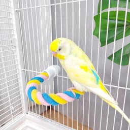 image-Climbing Cotton String Nibbling Relieving Stuffy Toy Bird