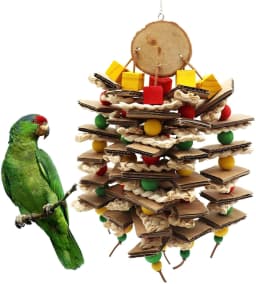 image-Parrot Logs Gnawing On Corn Husks And Skewers