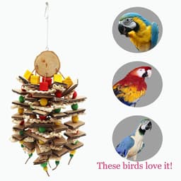 image-Parrot Logs Gnawing On Corn Husks And Skewers