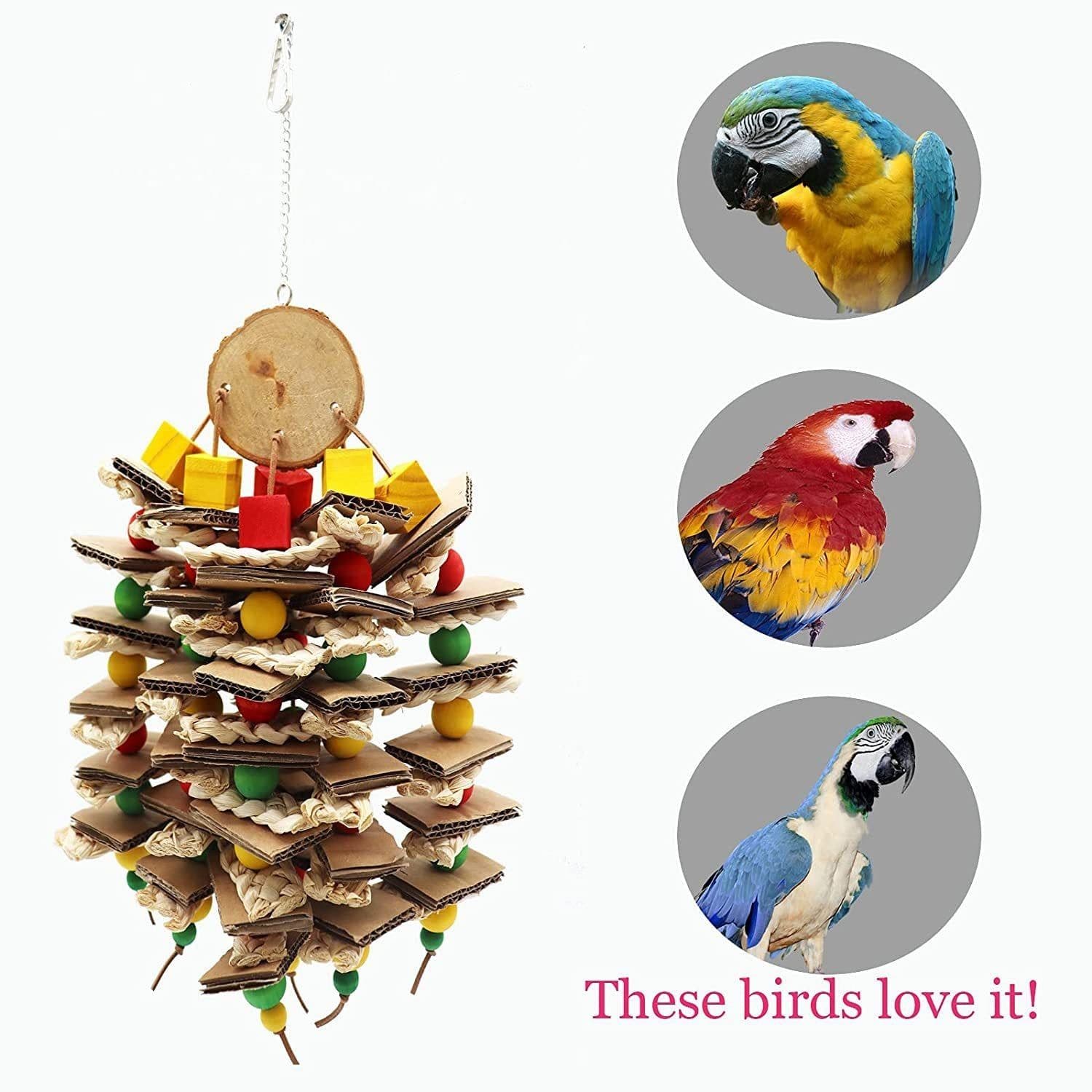 image-Parrot Logs Gnawing On Corn Husks And Skewers