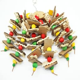 image-Parrot Logs Gnawing On Corn Husks And Skewers