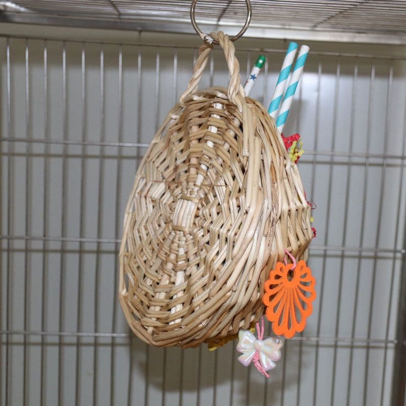image-Parrot Basketball Hoop Five-pointed Star Paper Tube Puzzle Bite Toy