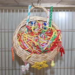 image-Parrot Basketball Hoop Five-pointed Star Paper Tube Puzzle Bite Toy