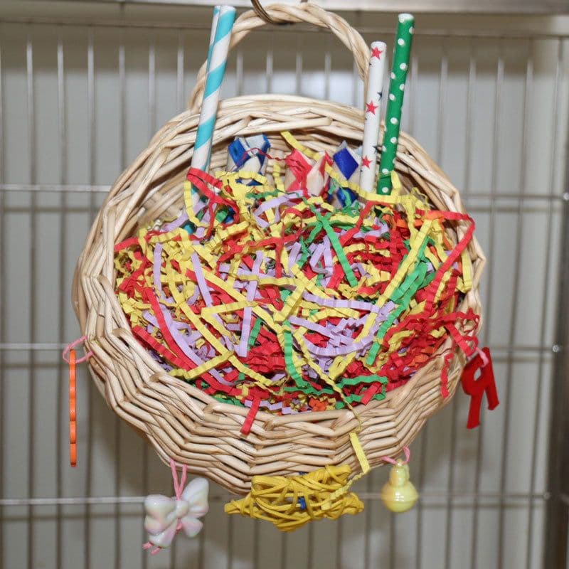 image-Parrot Basketball Hoop Five-pointed Star Paper Tube Puzzle Bite Toy