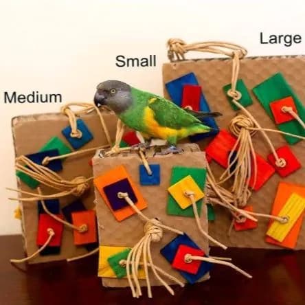 image-Parrot Colored Building Block Nibbling Toy