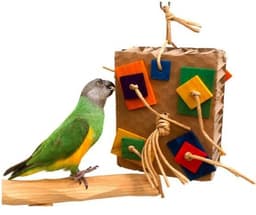 image-Parrot Colored Building Block Nibbling Toy