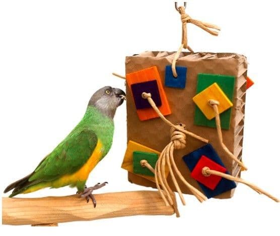 image-Parrot Colored Building Block Nibbling Toy