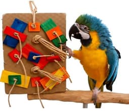 image-Parrot Colored Building Block Nibbling Toy