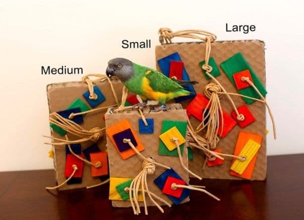 image-Parrot Colored Building Block Nibbling Toy