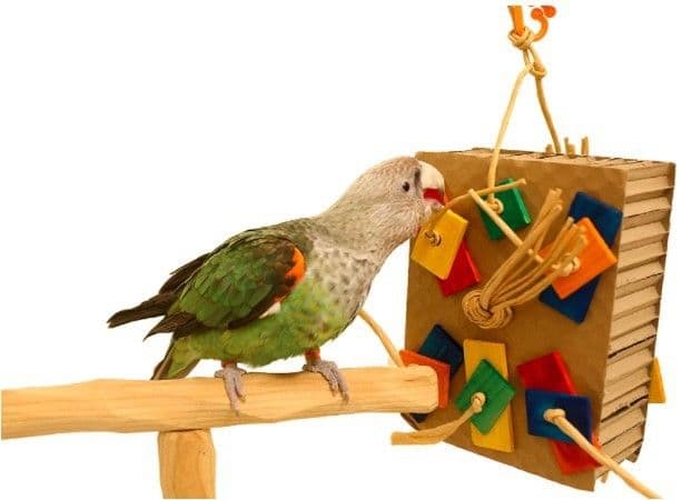 image-Parrot Colored Building Block Nibbling Toy