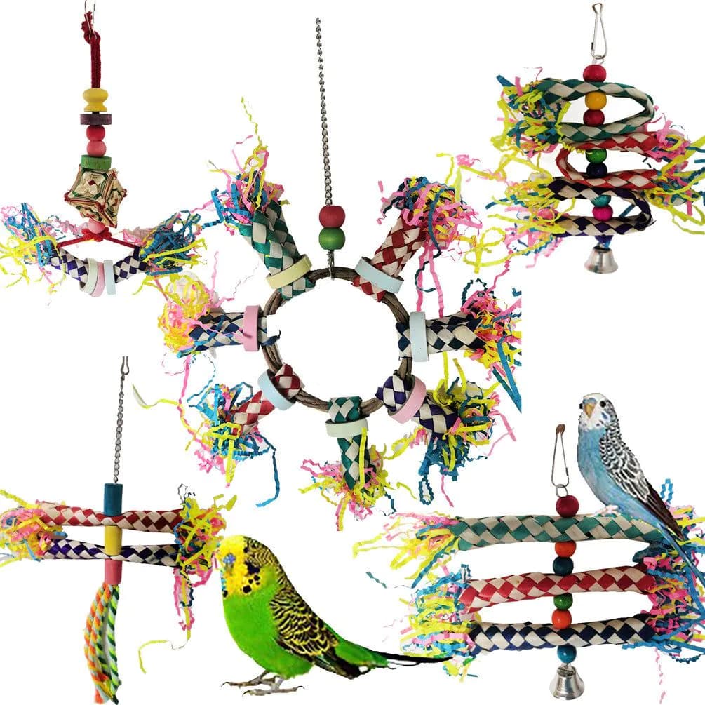 image-Parrot Bite Toy Set Of 5
