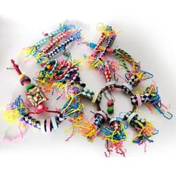image-Parrot Bite Toy Set Of 5