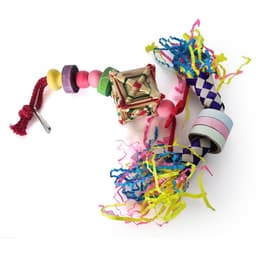 image-Parrot Bite Toy Set Of 5