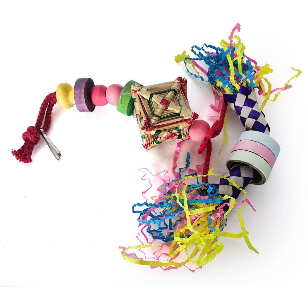 image-Parrot Bite Toy Set Of 5