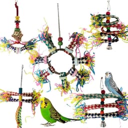 image-Parrot Bite Toy Set Of 5