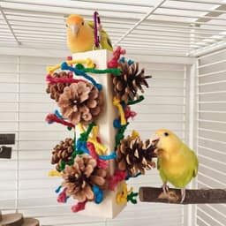 image-Solid Wood Parrot Toy Bird Stand Tearing Damage Relieving Stuffy Bite Wooden Square