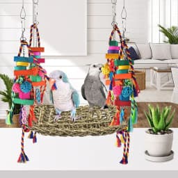 image-Parrot Toys Climbing Net Hammock Medium And Large Toy Bird Cage
