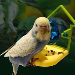 image-Parrot Food Leakage Toy Bird Cage Accessories