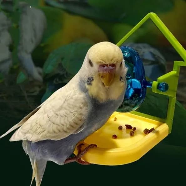 image-Parrot Food Leakage Toy Bird Cage Accessories