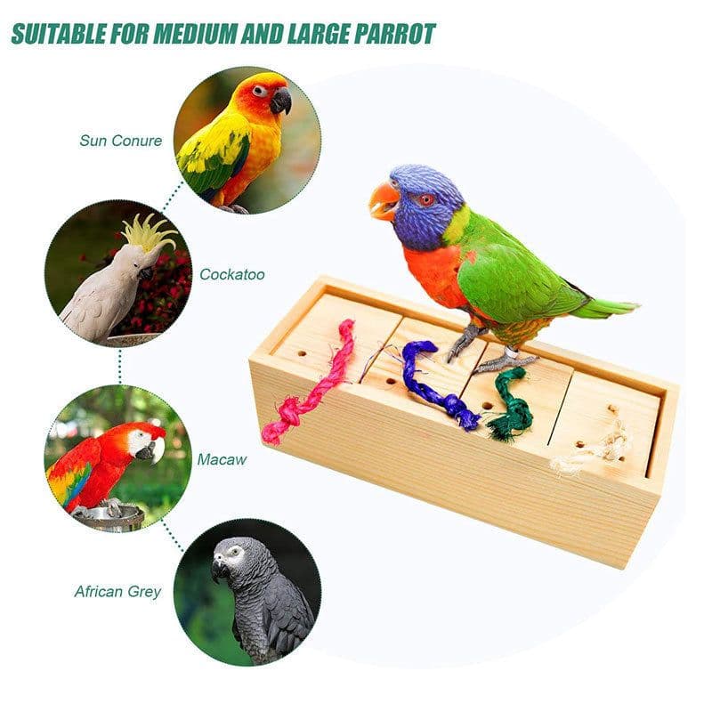 image-Parrot Toy Bird Supplies Supplies Puzzle Training