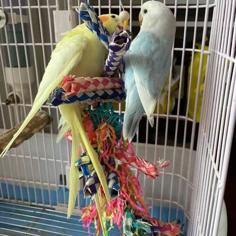 image-Parrot Toy Woodskin Hand-woven Boredom Cage Supplies