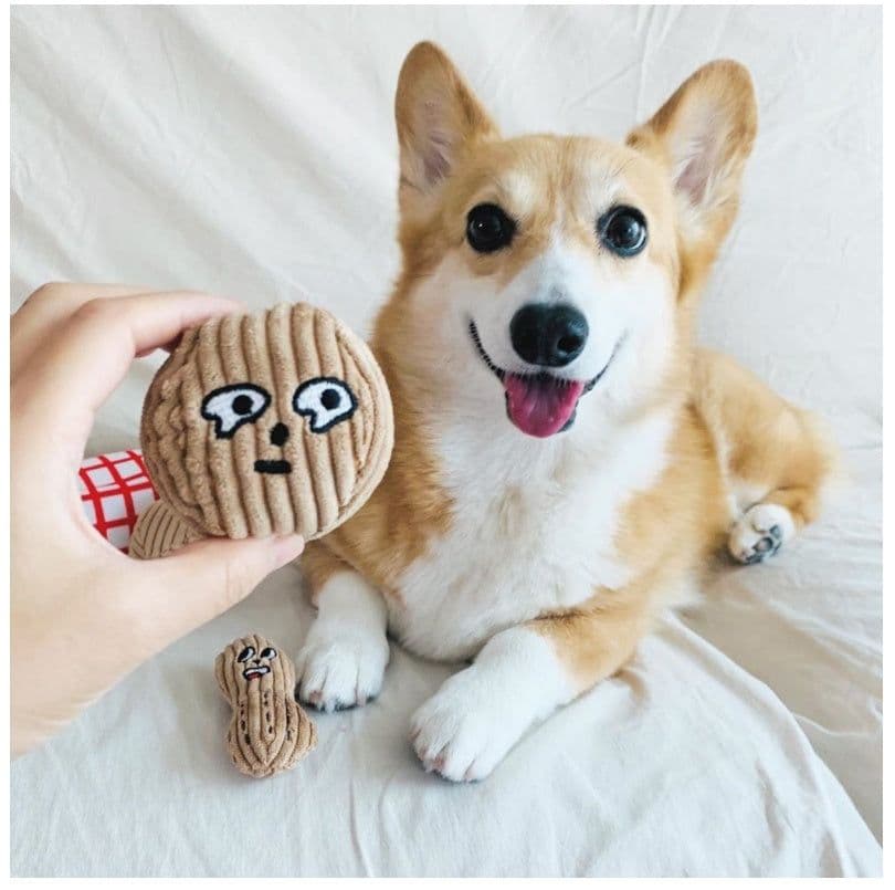 image-Hidden food toys for dogs
