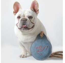 image-Pet Dog Training Cowhide Toy