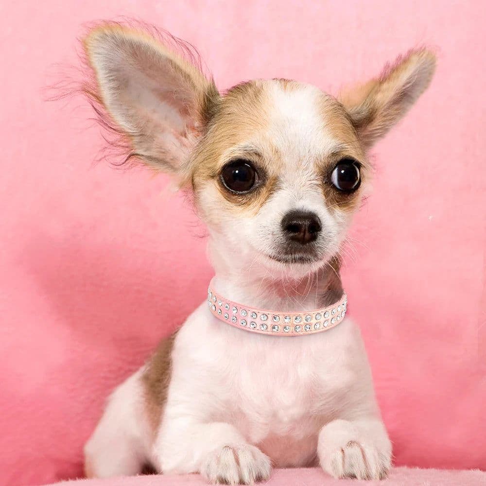 image-Crystal Small Dog Collar Leather Rhinestone Pet Dogs Collar Padded Puppy Cat Collars Adjustable for Small Dogs Chihuahua
